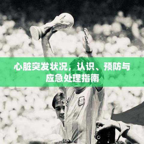 心臟突發(fā)狀況，認識、預防與應急處理指南