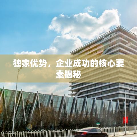 獨家優(yōu)勢，企業(yè)成功的核心要素揭秘