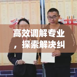 高效調(diào)解專業(yè)，探索解決糾紛的新路徑