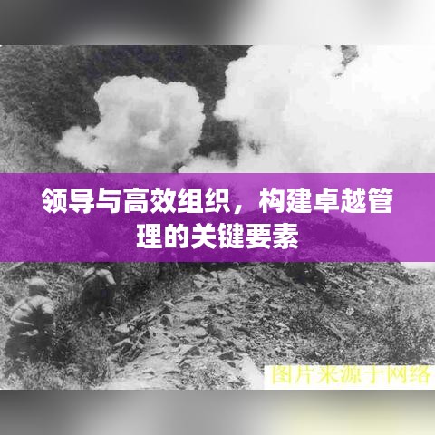 領(lǐng)導(dǎo)與高效組織，構(gòu)建卓越管理的關(guān)鍵要素
