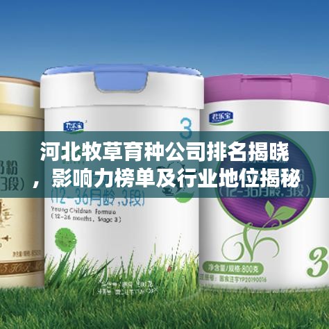 河北牧草育種公司排名揭曉，影響力榜單及行業(yè)地位揭秘