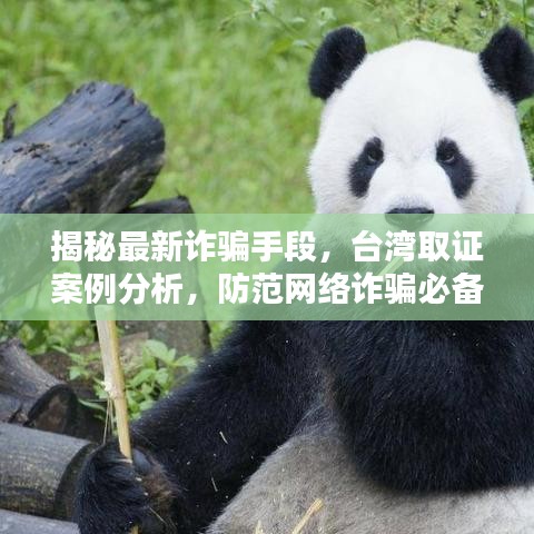 揭秘最新詐騙手段，臺灣取證案例分析，防范網(wǎng)絡詐騙必備知識