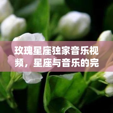 玫瑰星座獨(dú)家音樂視頻，星座與音樂的完美交融