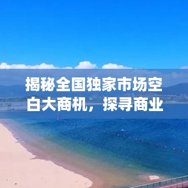 揭秘全國(guó)獨(dú)家市場(chǎng)空白大商機(jī)，探尋商業(yè)新藍(lán)海，開啟財(cái)富大門！