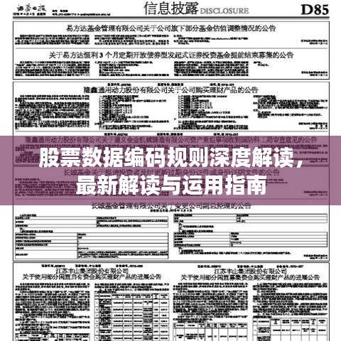 股票數據編碼規(guī)則深度解讀，最新解讀與運用指南