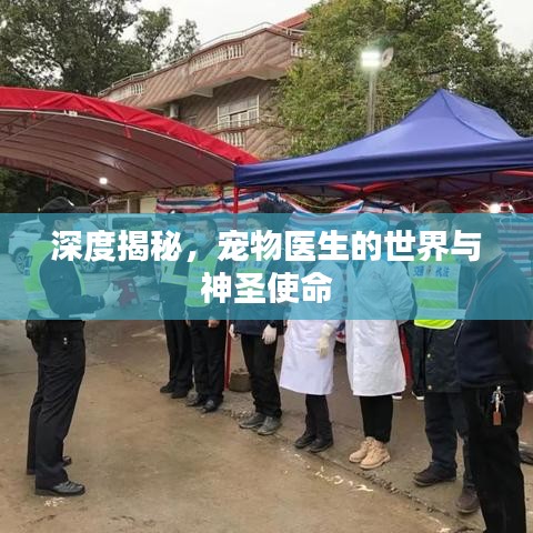 深度揭秘，寵物醫(yī)生的世界與神圣使命