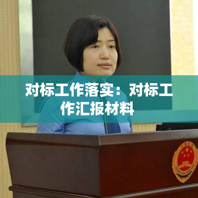 對標(biāo)工作落實(shí)：對標(biāo)工作匯報(bào)材料 