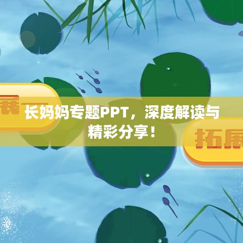 長媽媽專題PPT，深度解讀與精彩分享！