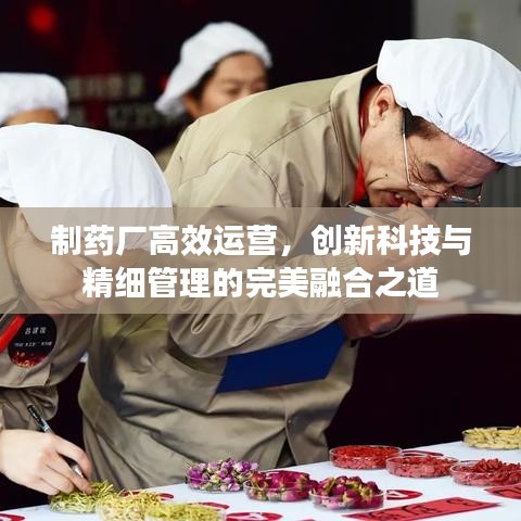 制藥廠高效運(yùn)營，創(chuàng)新科技與精細(xì)管理的完美融合之道