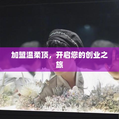 加盟溫柔頂，創(chuàng)業(yè)啟程啟航