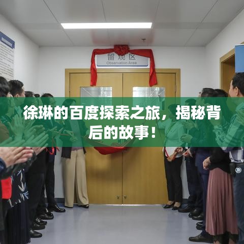 徐琳的百度探索之旅，揭秘背后的故事！