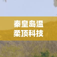 秦皇島溫柔頂科技榮獲創(chuàng)新獎(jiǎng)，引領(lǐng)行業(yè)潮流，鑄就典范地位