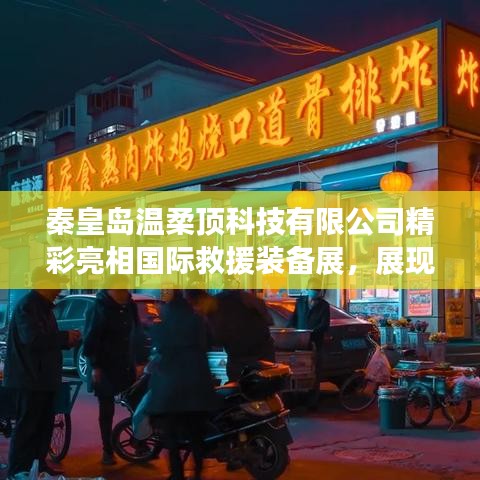 秦皇島溫柔頂科技 第3頁