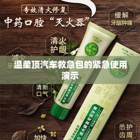 溫柔頂汽車救急包緊急使用指南，演示篇