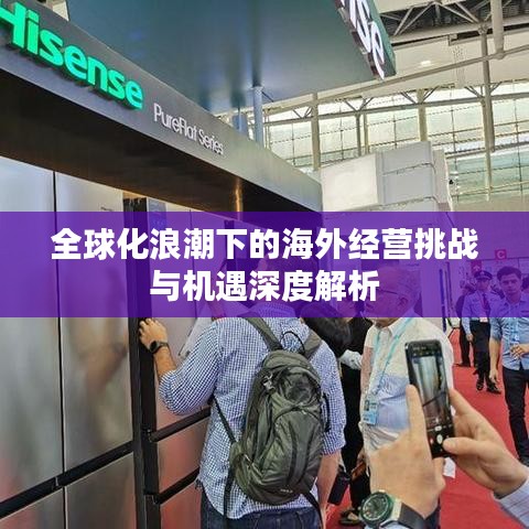 全球化浪潮下的海外經(jīng)營挑戰(zhàn)與機遇深度解析
