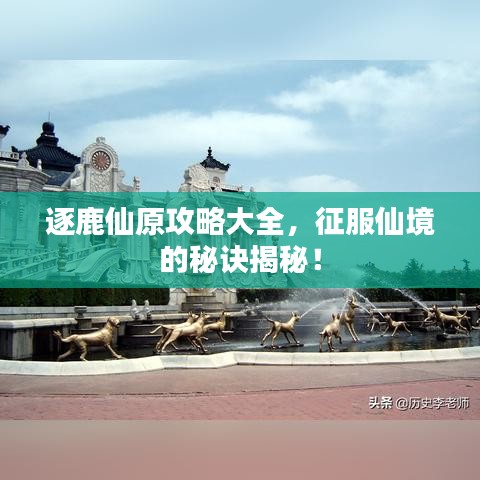 逐鹿仙原攻略大全，征服仙境的秘訣揭秘！