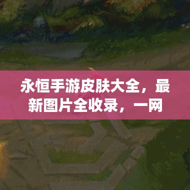 永恒手游皮膚大全，最新圖片全收錄，一網(wǎng)打盡獨家呈現(xiàn)！