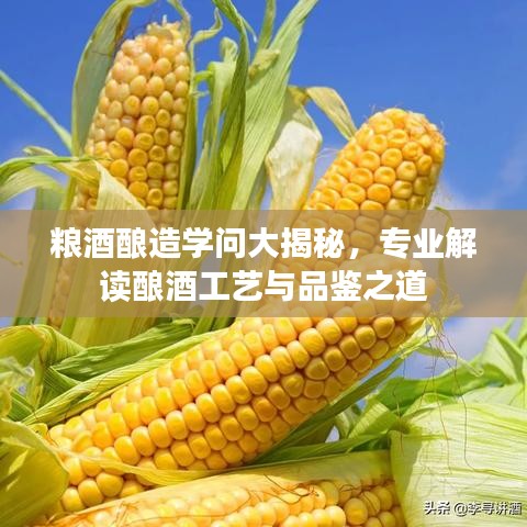 展翅高飛 第3頁