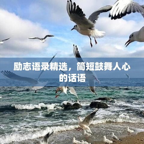 勵志語錄精選，簡短鼓舞人心的話語