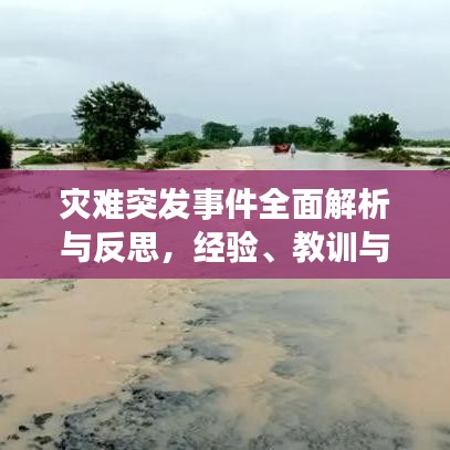 災(zāi)難突發(fā)事件全面解析與反思，經(jīng)驗(yàn)、教訓(xùn)與應(yīng)對策略