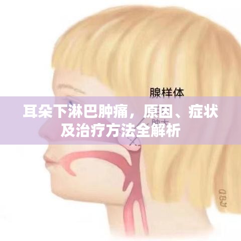 耳朵下淋巴腫痛，原因、癥狀及治療方法全解析