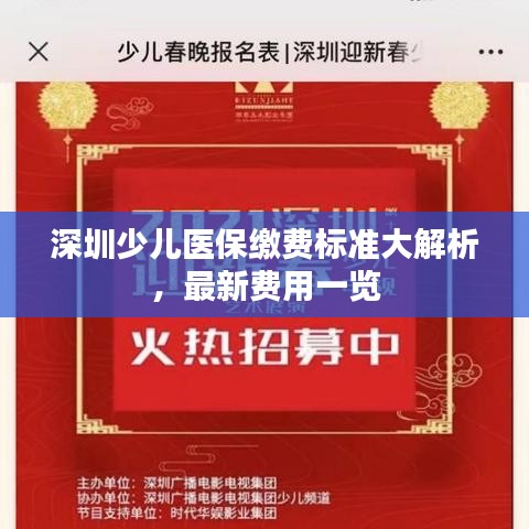 深圳少兒醫(yī)保繳費標準大解析，最新費用一覽