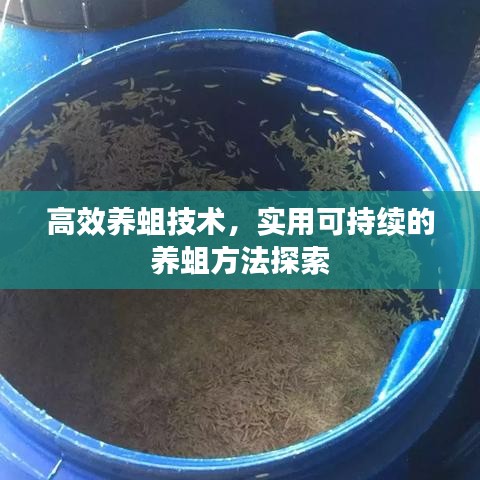 高效養(yǎng)蛆技術(shù)，實(shí)用可持續(xù)的養(yǎng)蛆方法探索