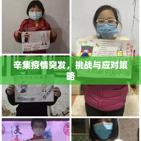 辛集疫情突發(fā)，挑戰(zhàn)與應(yīng)對策略