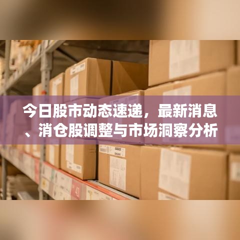 今日股市動(dòng)態(tài)速遞，最新消息、消倉股調(diào)整與市場(chǎng)洞察分析
