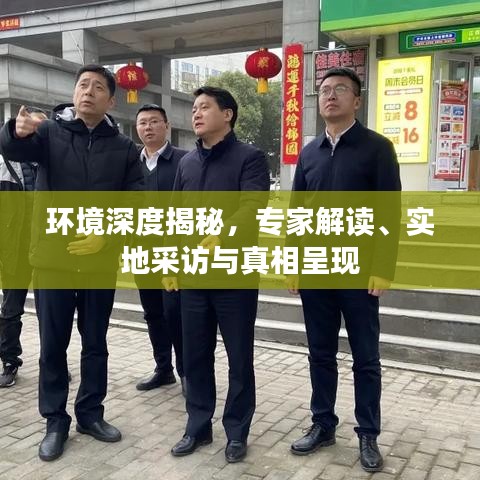 環(huán)境深度揭秘，專家解讀、實(shí)地采訪與真相呈現(xiàn)