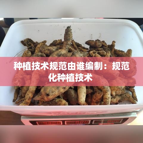 種植技術(shù)規(guī)范由誰編制：規(guī)范化種植技術(shù) 