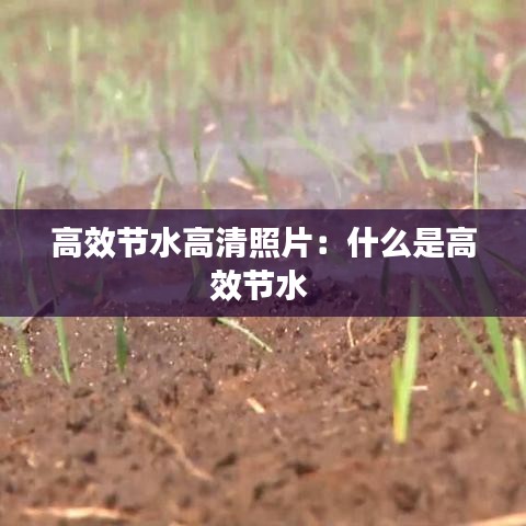 氧氣袋 第84頁(yè)