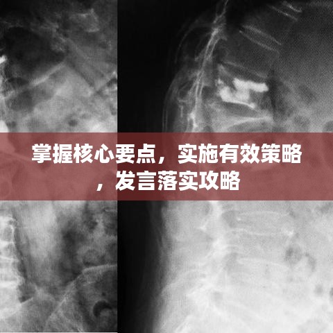掌握核心要點，實施有效策略，發(fā)言落實攻略