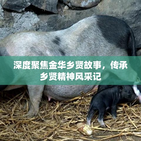 深度聚焦金華鄉(xiāng)賢故事，傳承鄉(xiāng)賢精神風采記