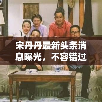 宋丹丹最新頭條消息曝光，不容錯(cuò)過！