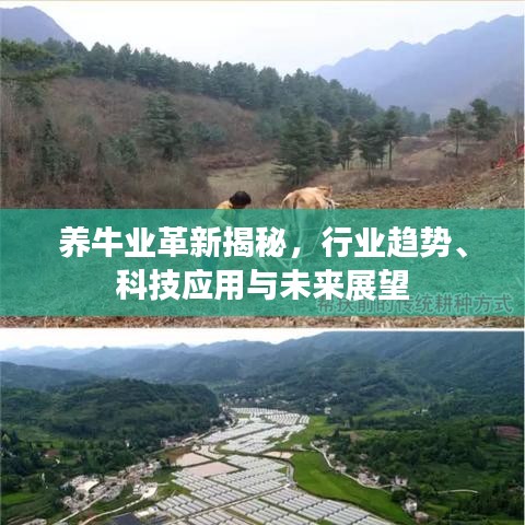 養(yǎng)牛業(yè)革新揭秘，行業(yè)趨勢(shì)、科技應(yīng)用與未來展望