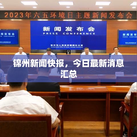 錦州新聞快報，今日最新消息匯總