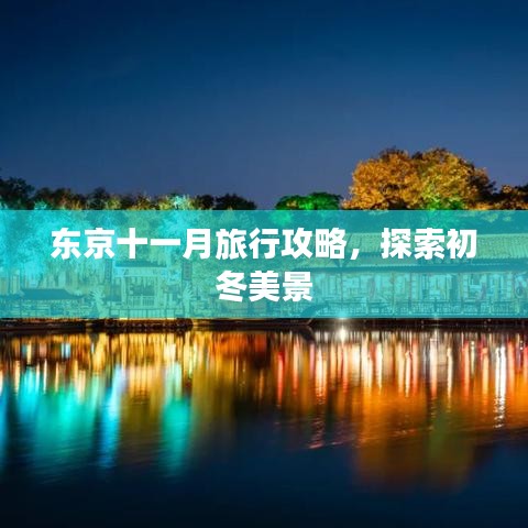 東京十一月旅行攻略，探索初冬美景