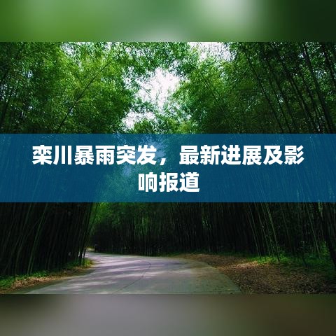 欒川暴雨突發(fā)，最新進展及影響報道
