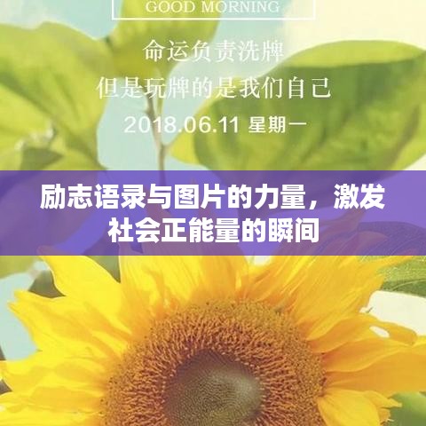 勵志語錄與圖片的力量，激發(fā)社會正能量的瞬間