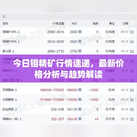 今日鉬精礦行情速遞，最新價(jià)格分析與趨勢(shì)解讀