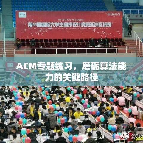 ACM專題練習(xí)，磨礪算法能力的關(guān)鍵路徑
