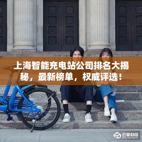 上海智能充電站公司排名大揭秘，最新榜單，權(quán)威評選！