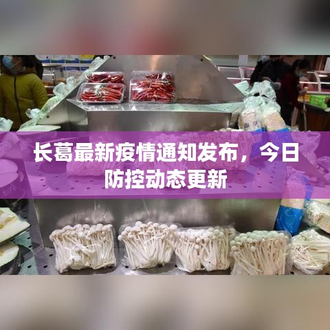 長(zhǎng)葛最新疫情通知發(fā)布，今日防控動(dòng)態(tài)更新