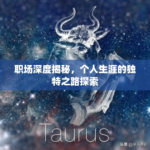 職場深度揭秘，個人生涯的獨特之路探索