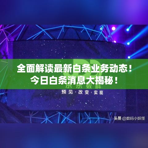 全面解讀最新白條業(yè)務(wù)動態(tài)！今日白條消息大揭秘！