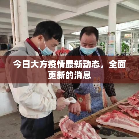 今日大方疫情最新動態(tài)，全面更新的消息
