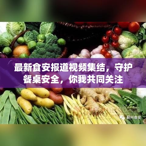 最新食安報(bào)道視頻集結(jié)，守護(hù)餐桌安全，你我共同關(guān)注