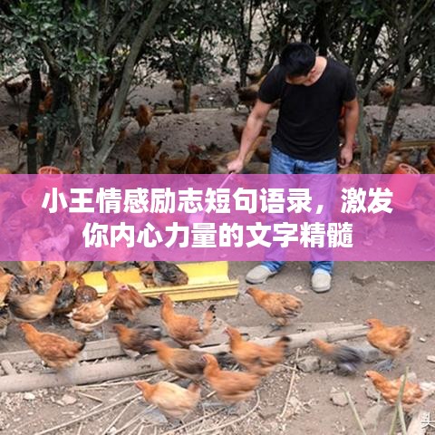小王情感勵志短句語錄，激發(fā)你內(nèi)心力量的文字精髓