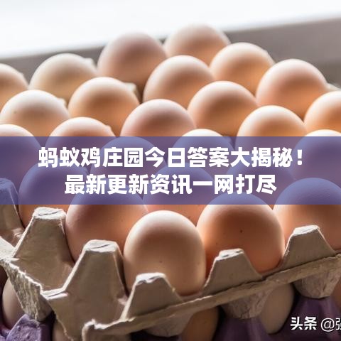 螞蟻雞莊園今日答案大揭秘！最新更新資訊一網(wǎng)打盡